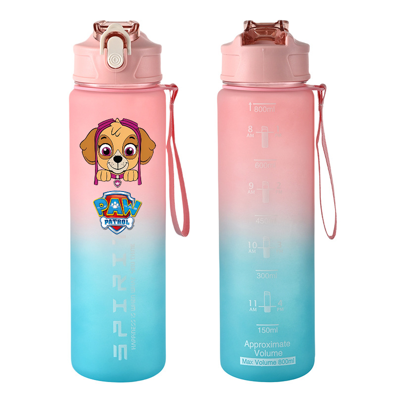 800ml PAW Patrol Sports Water  - مراجعة Tech Home Accessories وسعره