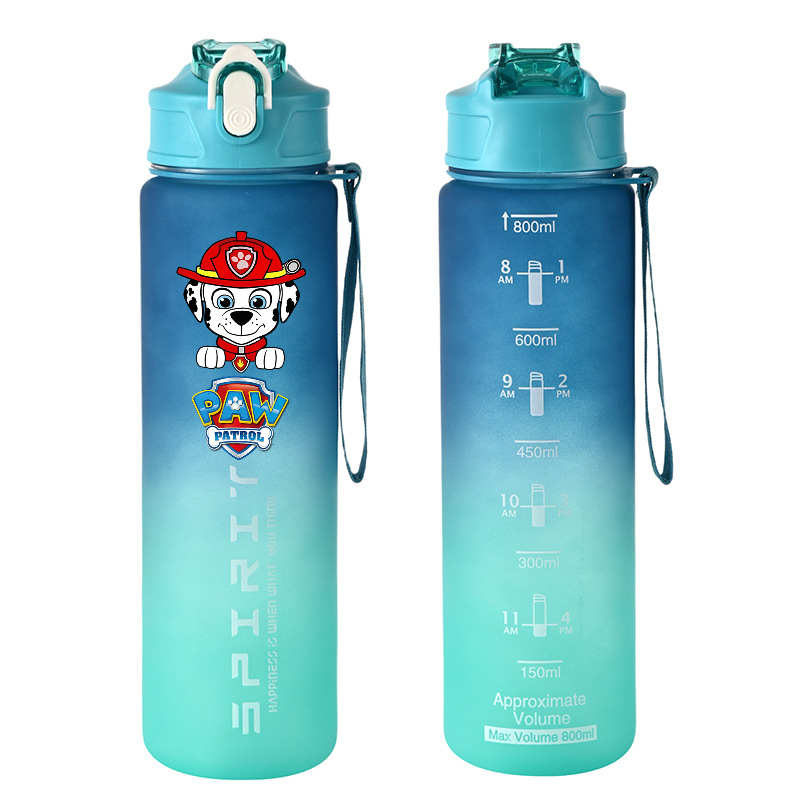 800ml PAW Patrol Sports Water  - مراجعة Tech Home Accessories وسعره